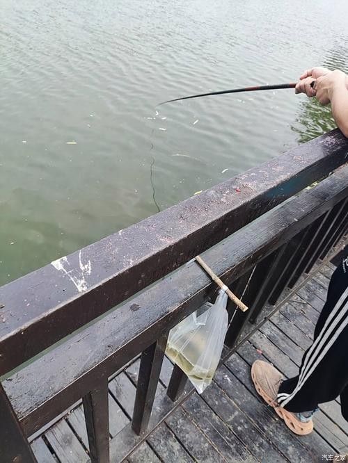 如皋龍游河釣魚實況分享（南通如皋網紅釣點大明龍游河釣點大明龍游河釣魚技巧分享）