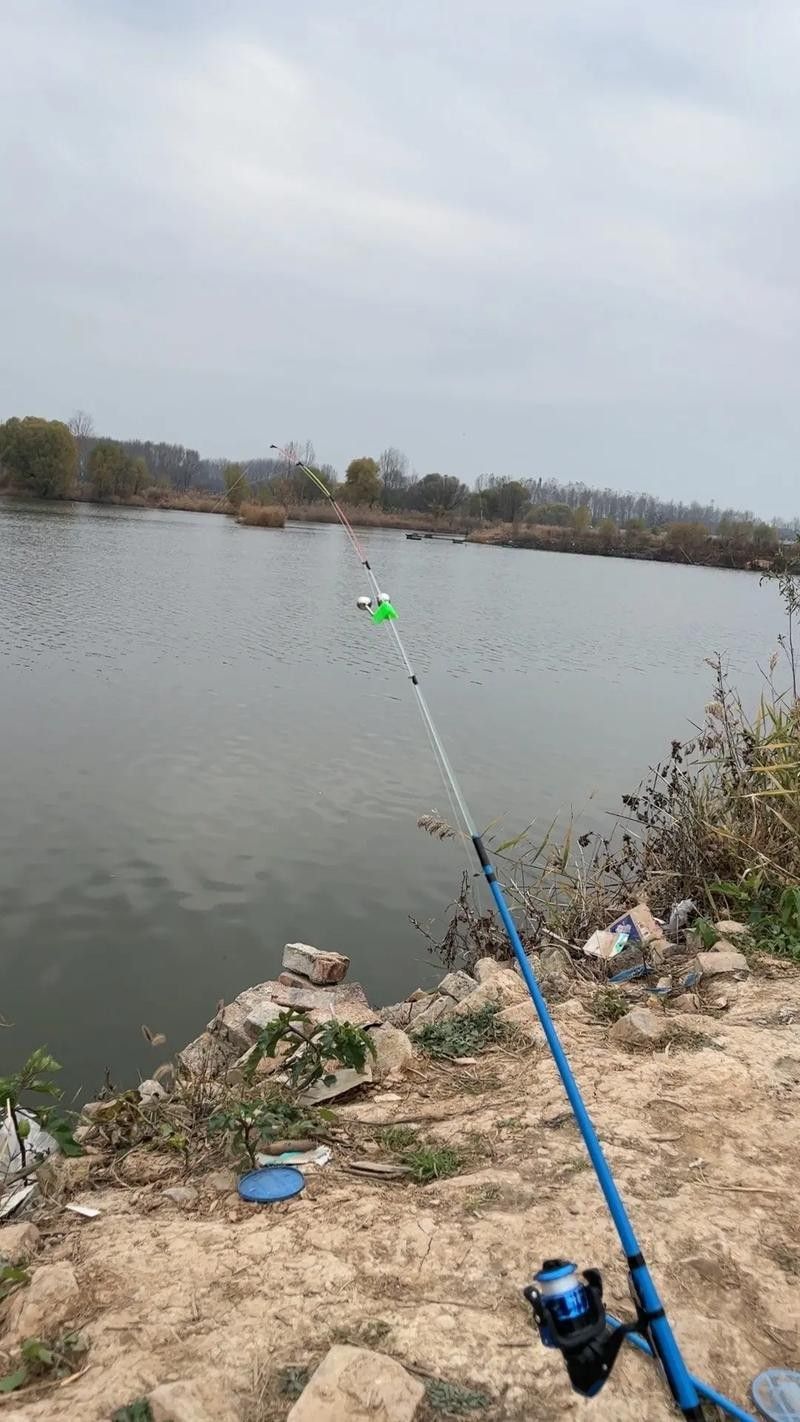 如皋龍游河釣魚實況分享（南通如皋網紅釣點大明龍游河釣點大明龍游河釣魚技巧分享） 如皋龍游河釣魚實況分享（南通如皋網紅釣點大明龍游河釣點大明龍游河釣魚技巧分享） 觀賞魚百科 第6張