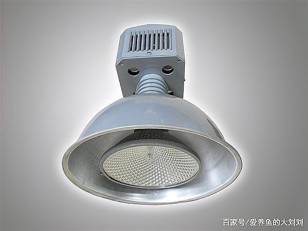 龍魚燈光選擇的關鍵要點（關于龍魚燈光選擇的一些建議）