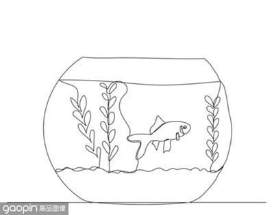 龍魚和虎魚風水寓意和象征意義詳細描述龍魚和虎魚風水寓意和象征（龍魚和虎魚的風水寓意）