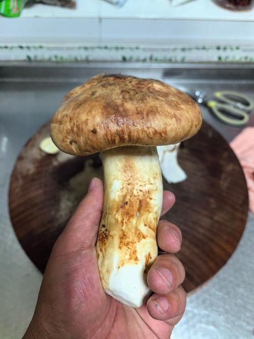 尋甸土特產(chǎn)有哪些？（云南尋甸土特產(chǎn)）
