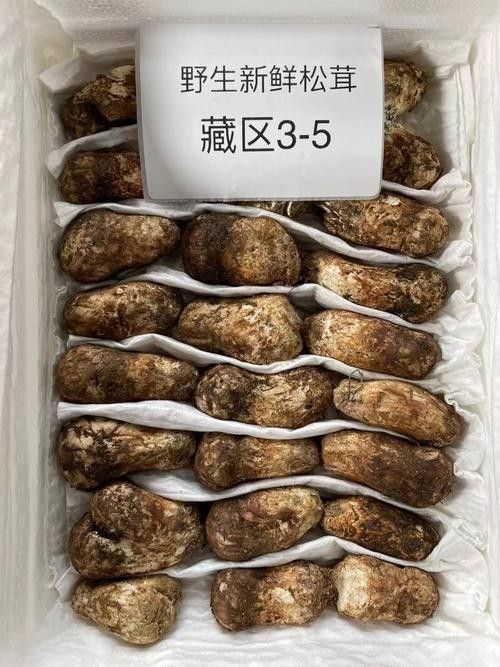 尋甸土特產(chǎn)有哪些？（云南尋甸土特產(chǎn)）