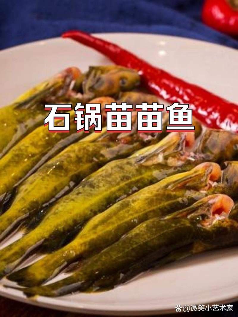 鄰水吃魚哪家最好吃，石鍋苗苗魚(美食種草攻略（鄰水吃魚哪家最好吃石鍋苗苗魚(美食種草）