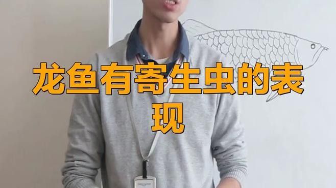 龍魚(yú)呼吸困難是怎么回事（魚(yú)呼吸困難是養(yǎng)殖過(guò)程中常見(jiàn)的問(wèn)題）