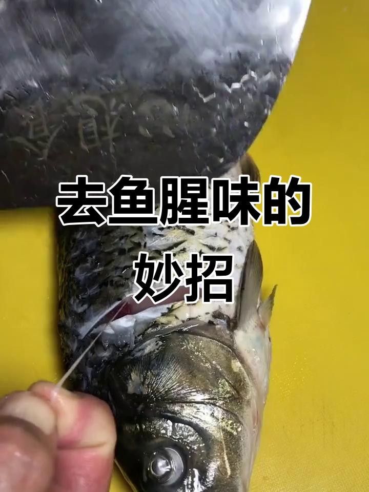 紅龍魚的簡單家常做法——清蒸紅龍魚（簡單易行的紅燒紅龍魚烹飪方法——清蒸紅龍魚）
