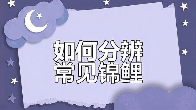 大正錦鯉的來歷是什么 大正錦鯉的來歷是什么 觀賞魚百科 第3張