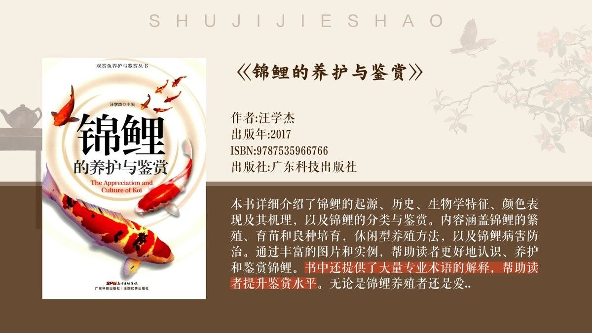 大正錦鯉的來歷是什么 大正錦鯉的來歷是什么 觀賞魚百科 第6張