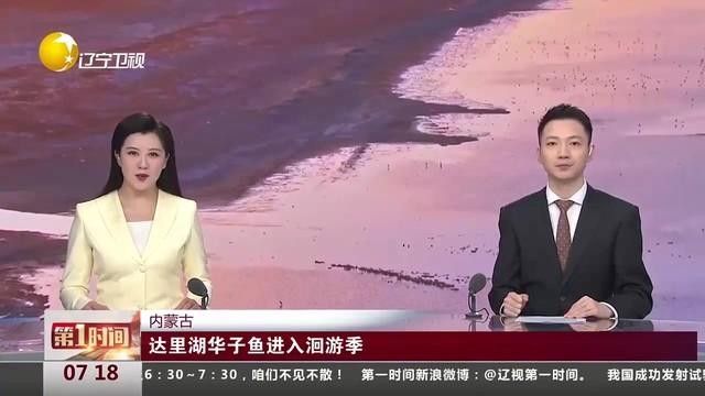 內(nèi)蒙古魚類資源豐富了當(dāng)?shù)爻Ｒ姷聂~類資源豐富了當(dāng)?shù)氐纳铮▋?nèi)蒙古有哪些魚類？）
