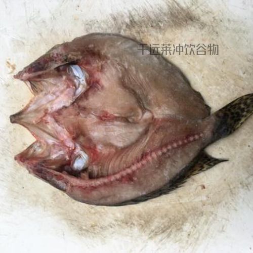 湖南華容金龍魚2023最新價格表，華容金龍魚最新價格表（華容金龍魚2023最新價格表，華容地區相關特產在京東平臺的最新價格信息）