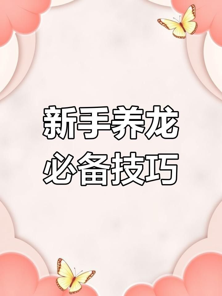 涉縣龍魚最簡單的三個步驟（涉縣龍魚養殖的三個基本步驟） 涉縣龍魚最簡單的三個步驟（涉縣龍魚養殖的三個基本步驟） 觀賞魚百科 第1張