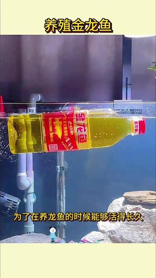 益海嘉里金龍魚食品集團(tuán)金龍魚食品集團(tuán)介紹（養(yǎng)魚說，如何區(qū)分金龍魚）