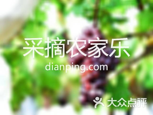 金龍魚銀龍魚銀龍魚銀龍魚揭秘水中貴族的驚人秘密網易聽（沈陽龍魚怎么樣） 金龍魚銀龍魚銀龍魚銀龍魚揭秘水中貴族的驚人秘密網易聽（沈陽龍魚怎么樣） 觀賞魚百科 第1張
