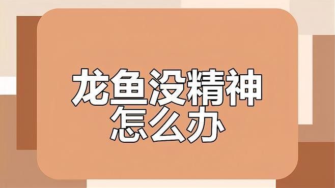 龍魚(yú)體外寄生蟲(chóng)治療全民小視頻，龍魚(yú)體外寄生蟲(chóng)治療全攻略（龍魚(yú)體外寄生蟲(chóng)如何處理）