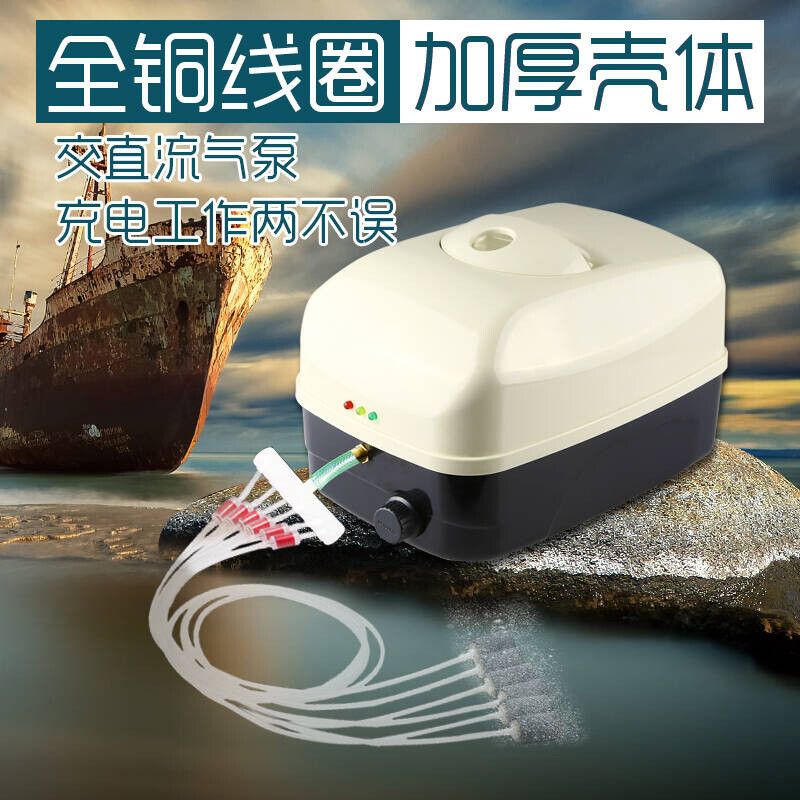 廣州水族館觀賞魚批發市場（廣州哪里可以看到觀賞魚）