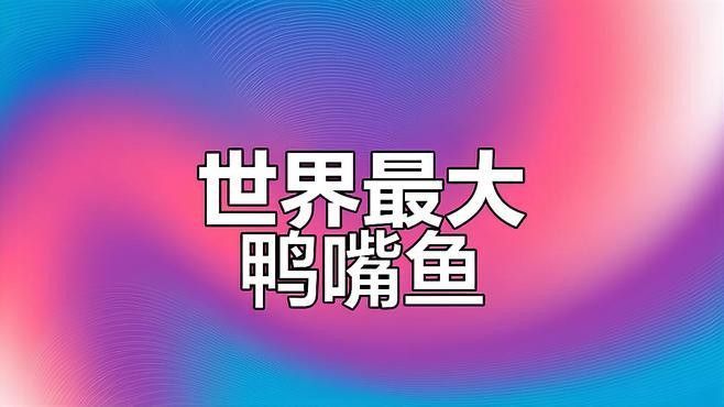 撒旦鴨嘴，作為超大型鯰魚（撒旦鴨嘴家族九大金剛(撒旦鴨嘴家族九大金剛(撒旦鴨嘴）