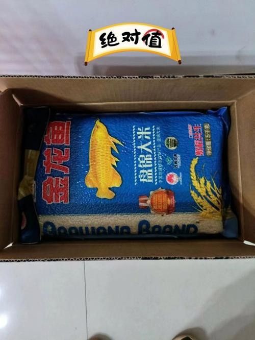 察右中旗金龍魚價(jià)格表及圖片2023年具體價(jià)格表及圖片2023年（右中旗金龍魚價(jià)格表）