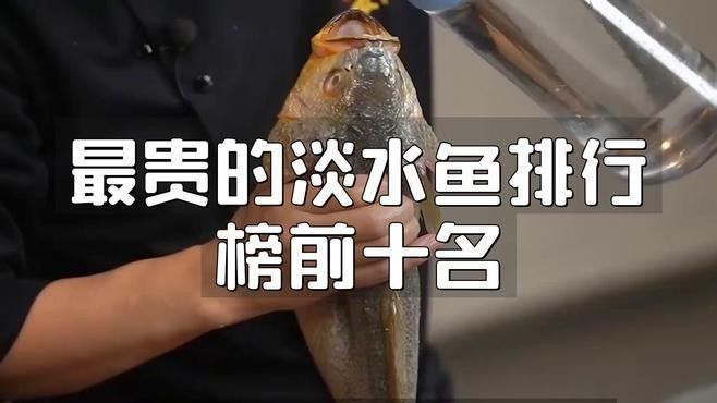 中國十大名貴魚排行榜（中國10大名貴淡水魚排行榜） 中國十大名貴魚排行榜（中國10大名貴淡水魚排行榜） 觀賞魚百科 第5張