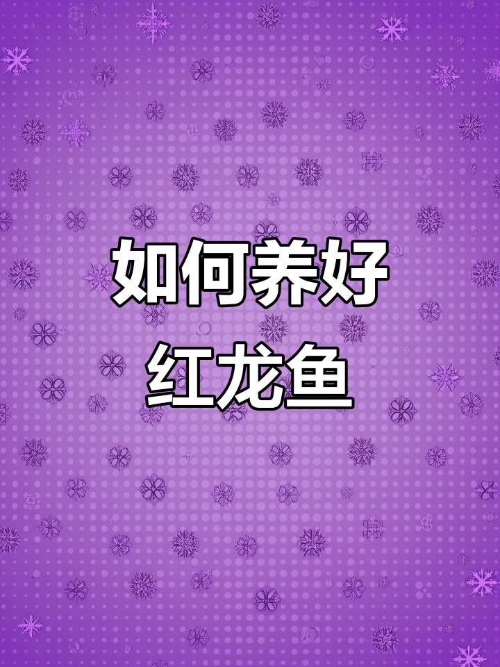 德清紅龍魚飼養(yǎng)技巧:學了這三招（德清紅龍魚的養(yǎng)殖技巧:從挑選到環(huán)境管理全民小視頻）