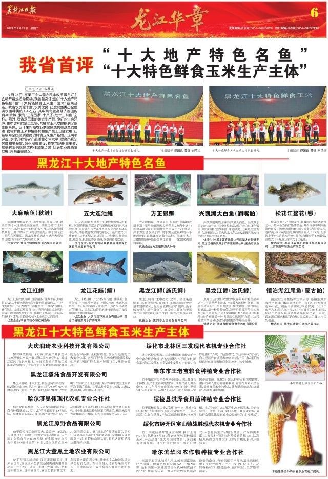 黑龍江最大的魚(yú)是什么魚(yú)咪朵黑龍江最大的魚(yú)有多重（黑龍江最大的魚(yú)是什么魚(yú)）