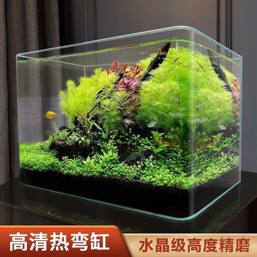 森森和yee哪個品牌更適合新手森森和yee哪個更耐用（森森和yee哪個品牌更可靠？）