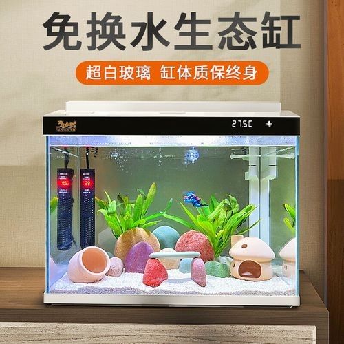 森森和yee哪個品牌更適合新手森森和yee哪個更耐用（森森和yee哪個品牌更可靠？）