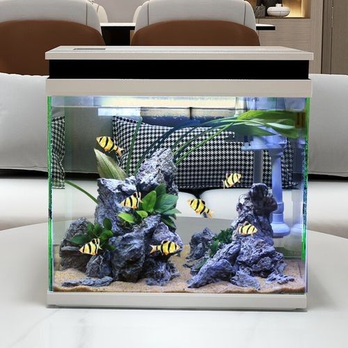 森森和yee哪個品牌更適合新手森森和yee哪個更耐用（森森和yee哪個品牌更可靠？）