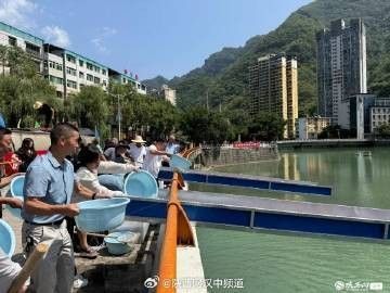 鎮(zhèn)巴龍魚(yú)的市場(chǎng)價(jià)格（鎮(zhèn)巴縣有哪些知名的龍魚(yú)養(yǎng)殖企業(yè)鎮(zhèn)巴龍魚(yú)養(yǎng)殖技巧）