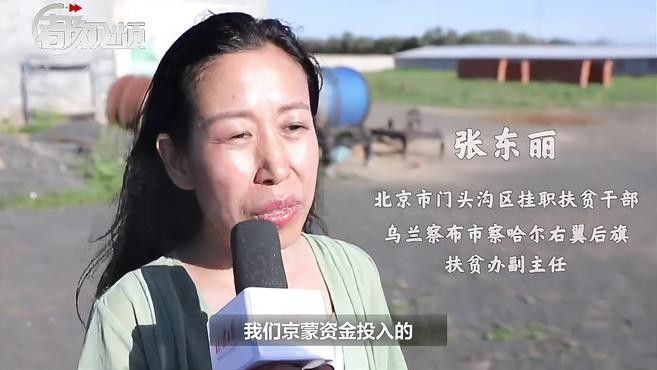 察右后旗3人榜上有名微信公眾平臺聽郭樹清在金融領域有哪些成就（從烏蘭察布市察右后旗走出的知名人士） 察右后旗3人榜上有名微信公眾平臺聽郭樹清在金融領域有哪些成就（從烏蘭察布市察右后旗走出的知名人士） 觀賞魚百科 第1張