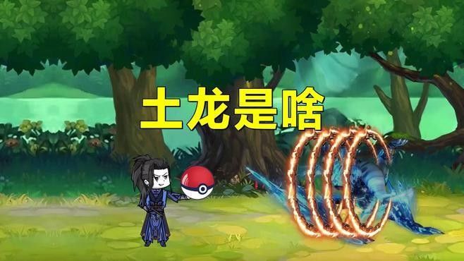 土龍在中醫藥中有哪些功效，土龍在五行中有哪些功效（土龍又叫什么）