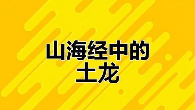 土龍在中醫藥中有哪些功效，土龍在五行中有哪些功效（土龍又叫什么）