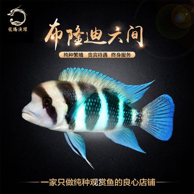 魚缸十大品牌排行榜中國魚缸十大品牌排行榜中國魚缸十大品牌排行榜（中國魚缸十大品牌）