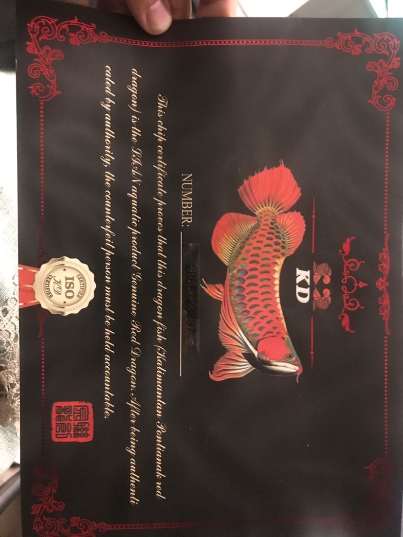 印尼紅龍魚證書通常包括以下信息，養殖者的名稱和地址（印尼紅龍魚證書是一份由印尼漁業部門頒發的認證文件）