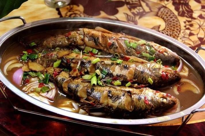 九江的魚類有哪些（九江最著名的魚類之一是中華鱘，中華鱘，）
