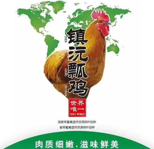 云南鎮沅縣特產