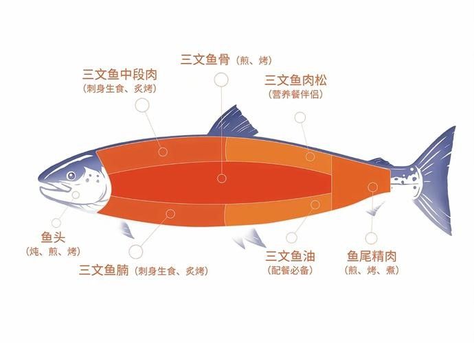 三黎魚圖片