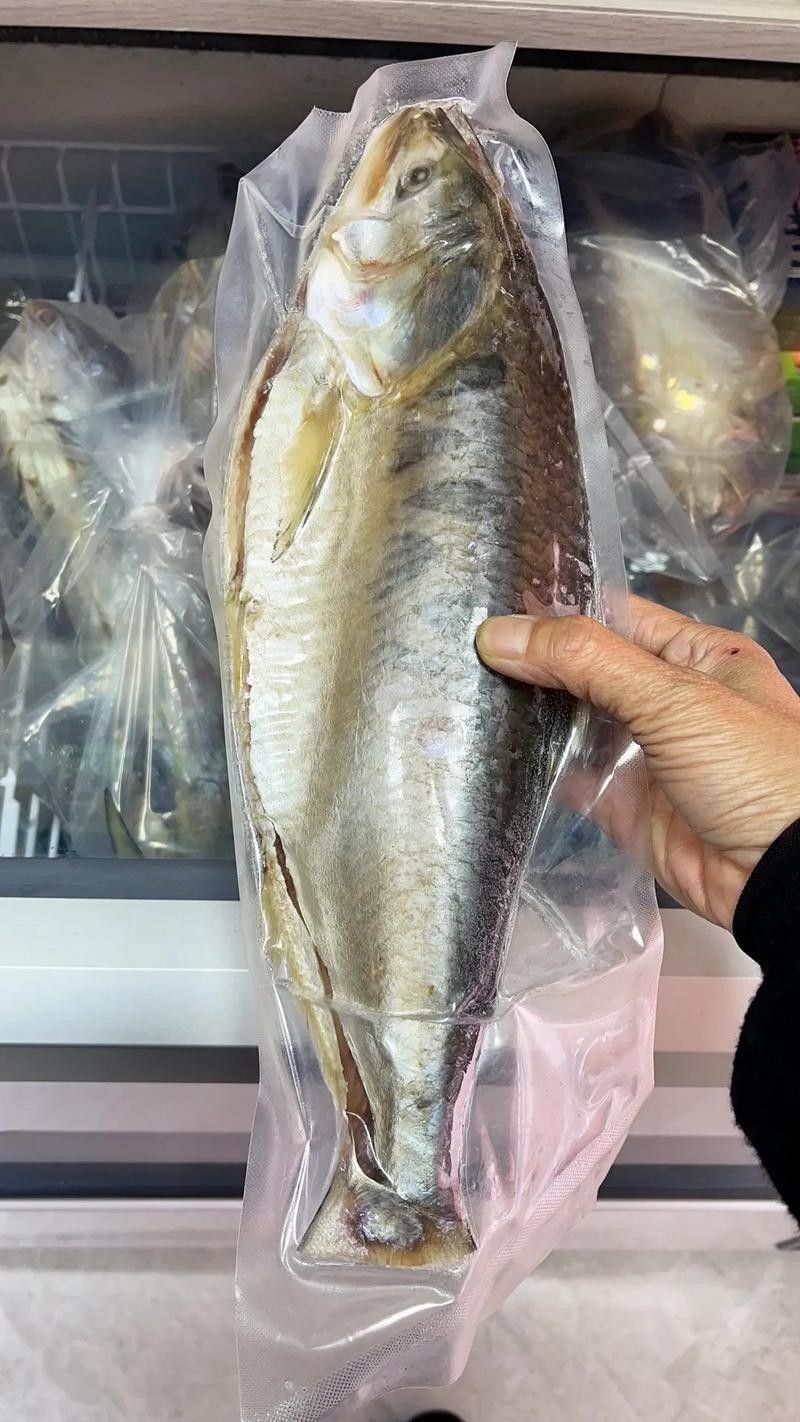 三黎魚圖片