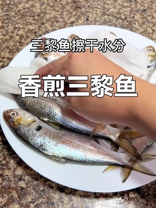 三黎魚圖片