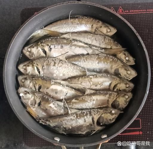 三黎魚圖片