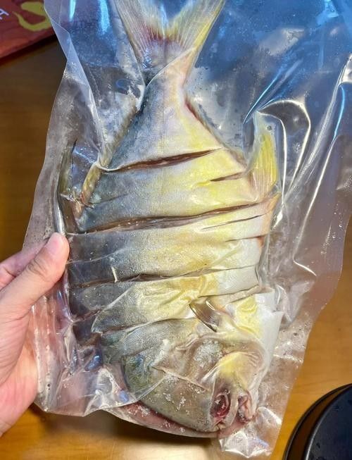 湛江金鯧魚