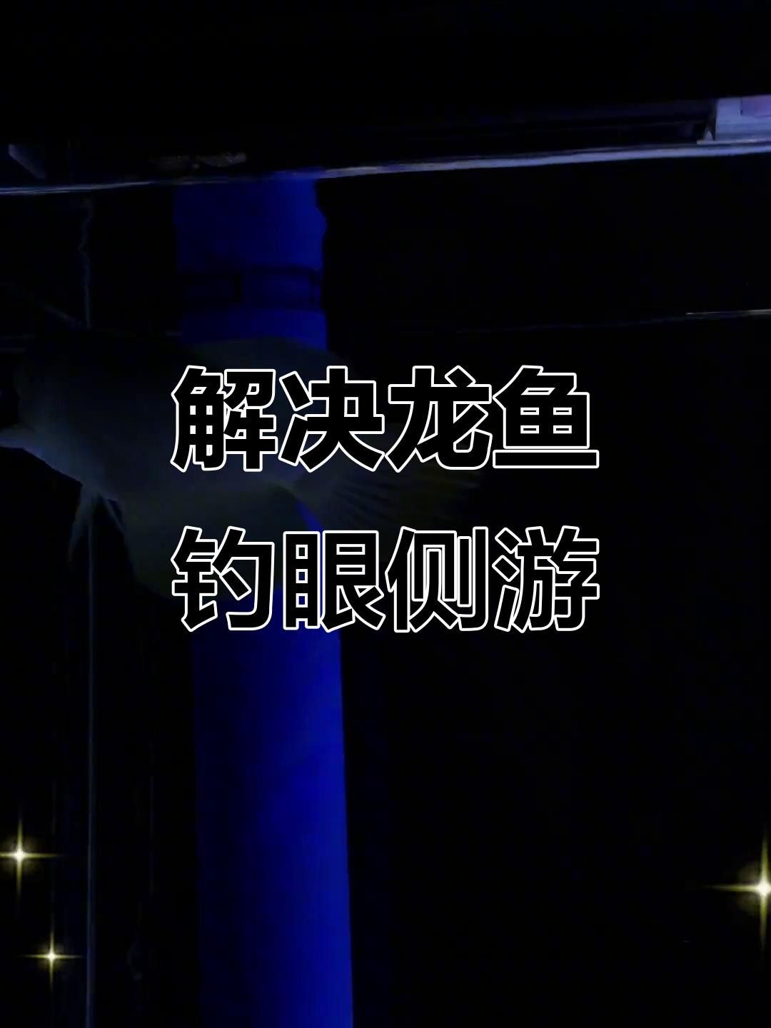 龍魚側游徹底解決方案