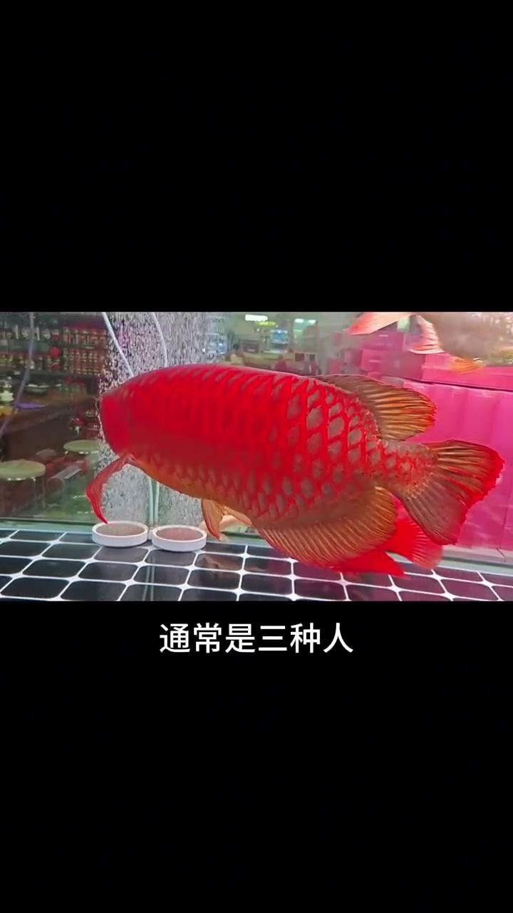 龍魚最旺三種人