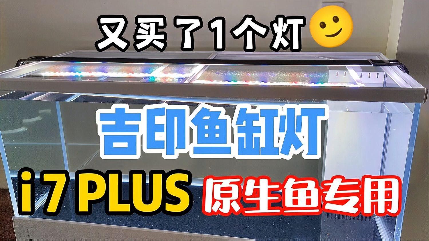 吉印水族是雜牌子嗎知乎 吉印水族是雜牌子嗎知乎 觀賞魚百科 第4張