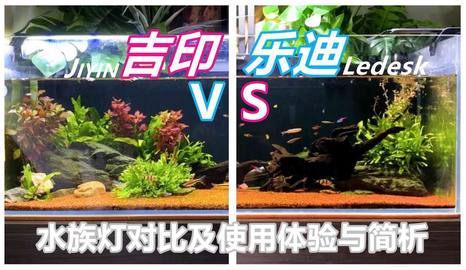 吉印水族是雜牌子嗎知乎 吉印水族是雜牌子嗎知乎 觀賞魚百科 第1張