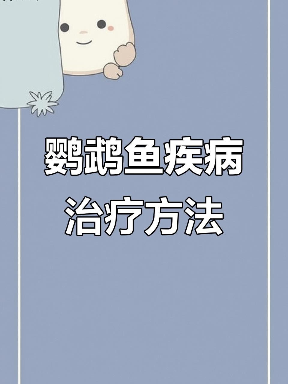 財(cái)神鸚鵡魚常見疾病
