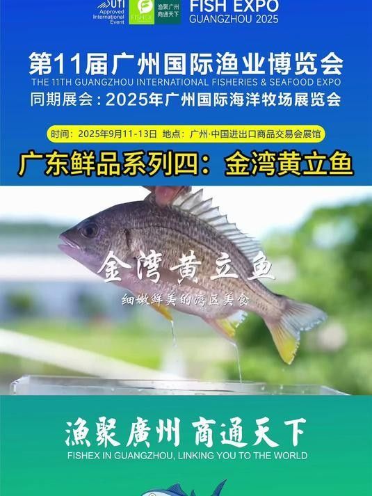 廣東叫立魚是什么魚