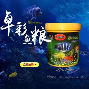 高端觀賞魚魚飼料(觀賞魚魚飼料排行榜)