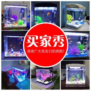 紅龍魚和金龍魚混養需要什么燈光好呢圖片（紅龍魚和金龍魚混養需要什么燈光好呢圖片大全）