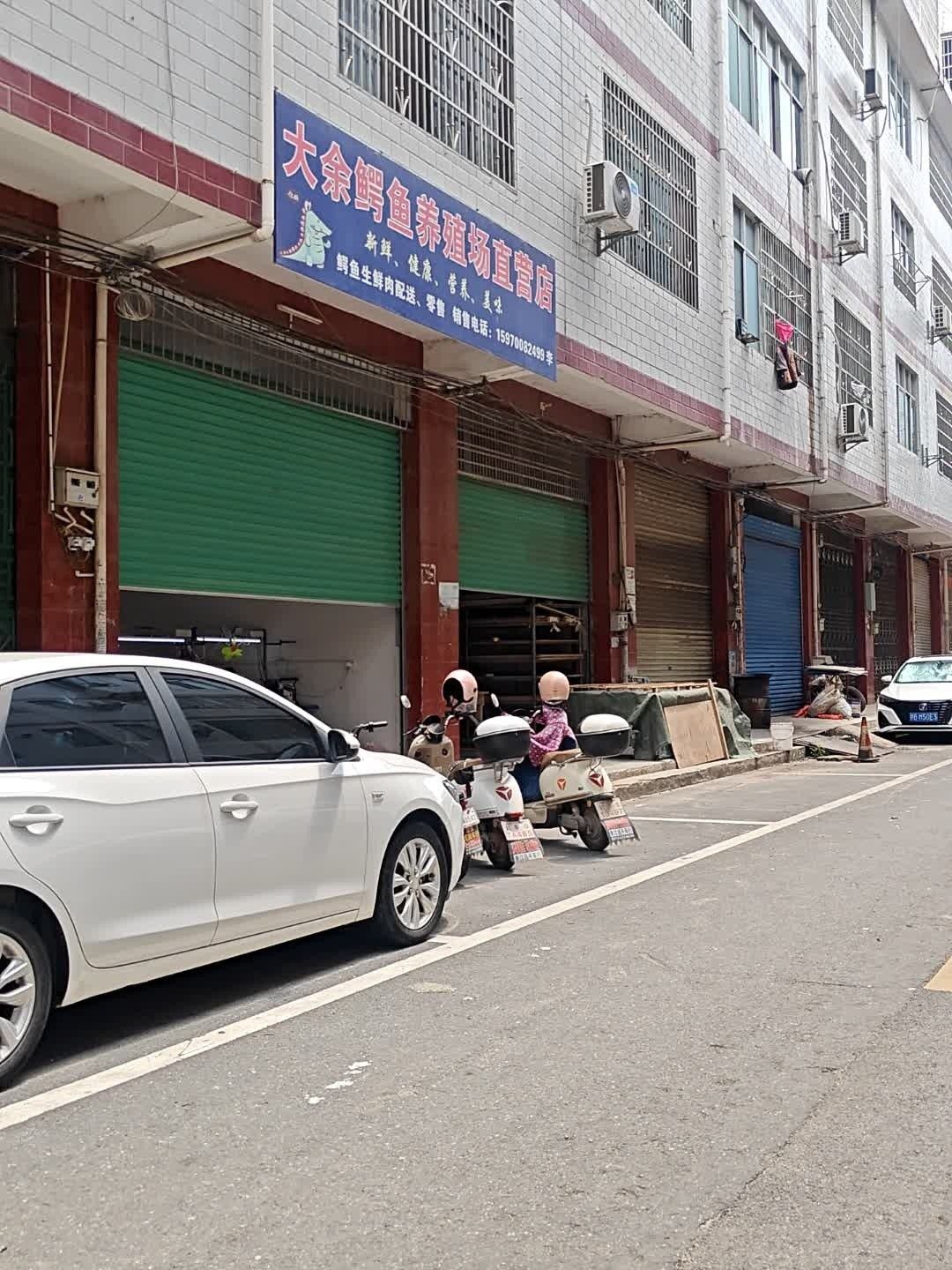 章貢龍魚