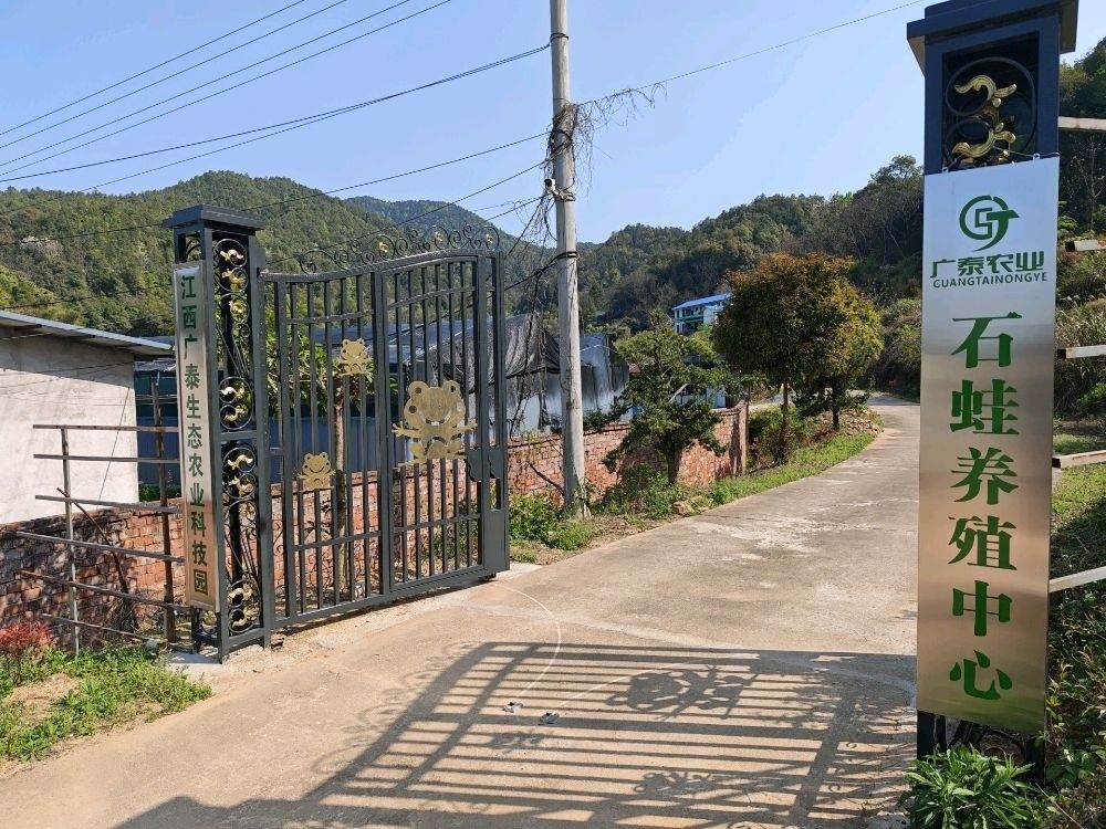 章貢龍魚