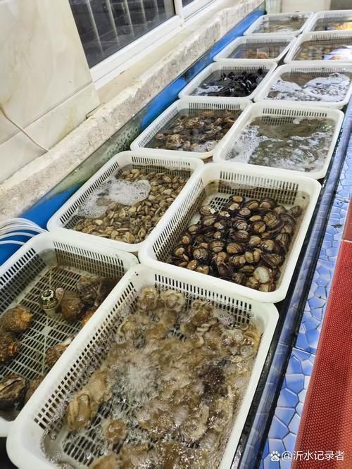 臺灣水族批發市場